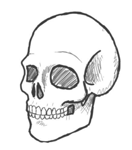 Drawing a Skull in a few simple steps – Drawing Art Blog Easy Skull ...