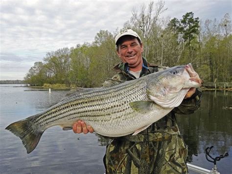 Santee Cooper Lakes, South Carolina - Coastal Angler & The Angler Magazine