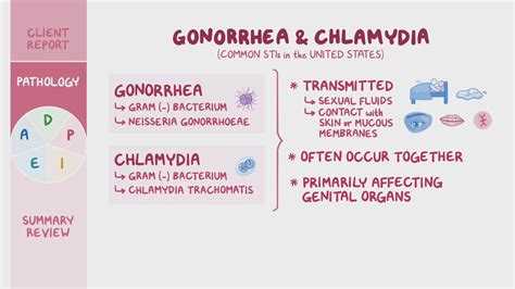 Gonorrhea/Chlamydia: Nursing Process (ADPIE) - Osmosis