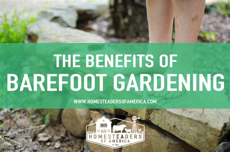 The Benefits of Barefoot Gardening - Homesteaders of America