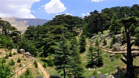 15+ Perfect Hiking Spots In Lebanon For When You Need To Get Away