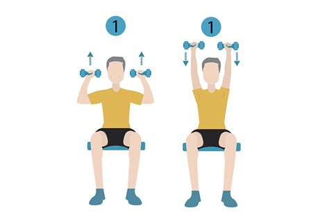 21 Chair Exercises for Seniors: Complete Visual Guide