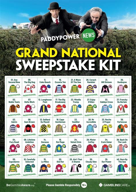 Grand National Sweepstake Kit: Paddy's online AND print packs