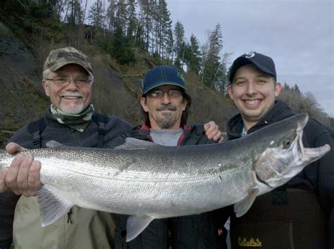 Quinault Fishing Guide: River update