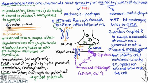 Neurotransmitters & Receptors - YouTube