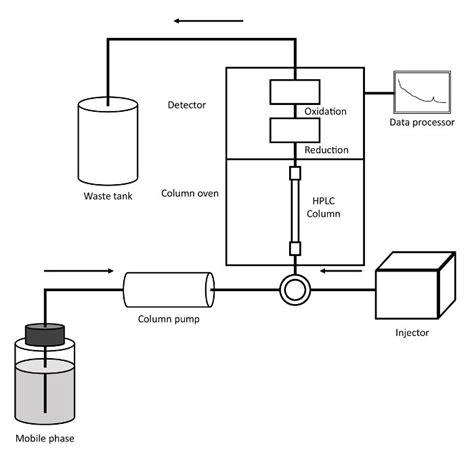 Hplc Schematic/diagram