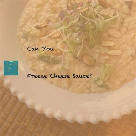 Can You Freeze Cheese Sauce? - Fork & Spoon Kitchen