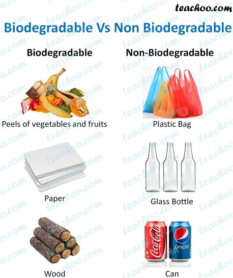 What are Biodegradable and Non Biodegradable materials - with Examples