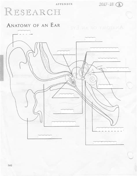 ear Diagram | Quizlet