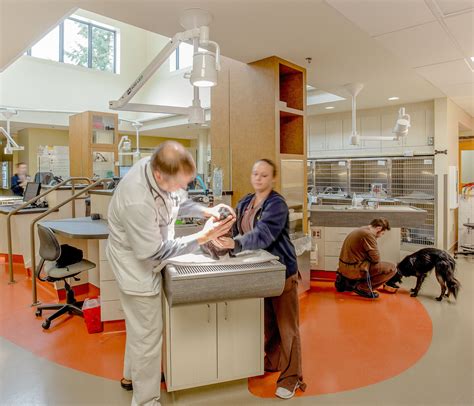 Parkway Veterinary | Lake Oswego, OR | R&H Construction | Home, Home decor, Lake oswego