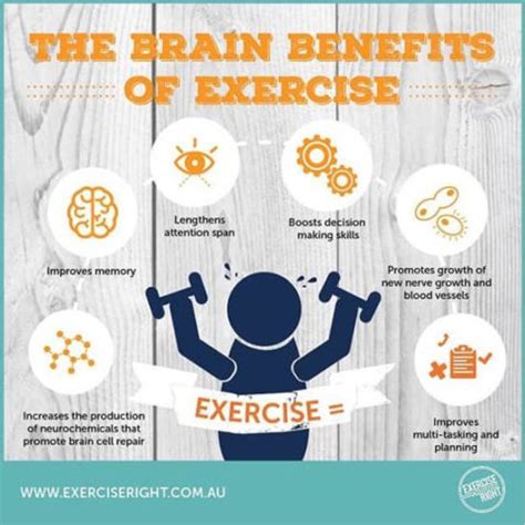 Brain Benefits of Exercise - Sydney Sports and Exercise Physiology