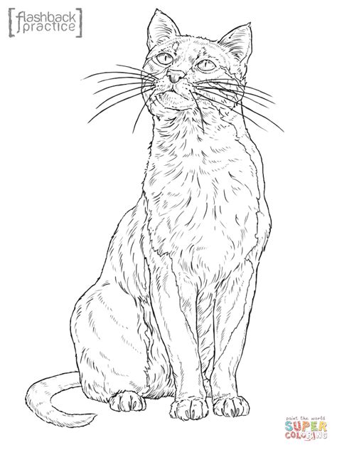 Bay Cat coloring page | Free Printable Coloring Pages