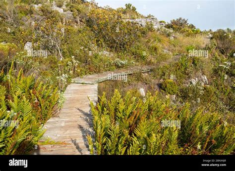 Trails to the summit hi-res stock photography and images - Alamy