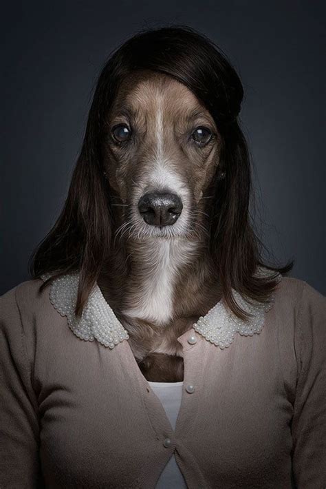 Dogs Dressed as Humans (7 Photos) - FunCage