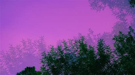 Green Leaves Trees Light Purple Background HD Purple Aesthetic Wallpapers | HD Wallpapers | ID ...