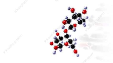 Lactose molecule - Stock Video Clip - K001/0274 - Science Photo Library