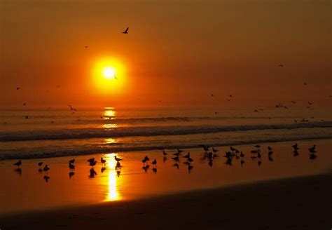 The Best Beaches Near Lisbon - Bentoninn