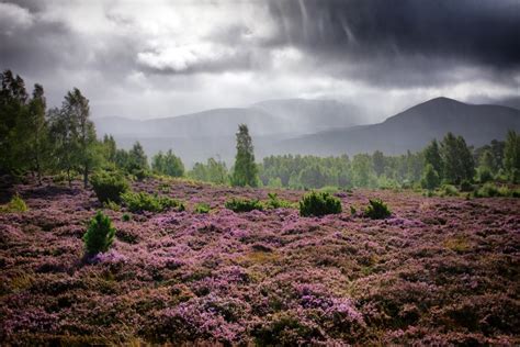 The Best Time for Landscape Photography in Scotland - Highland Wildscapes