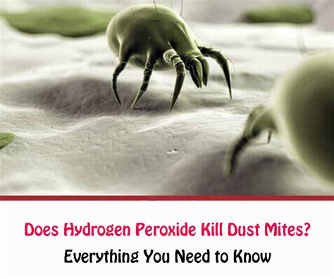 Does Hydrogen Peroxide Kill Dust Mites? - All About Dust Mites