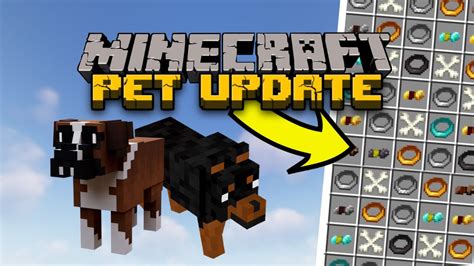 The Pet Update You Need For Minecraft 1.20 - YouTube