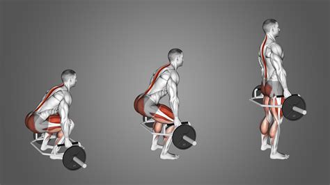 Are Deadlifts For Back or For Legs? Muscle Activation Explained ...