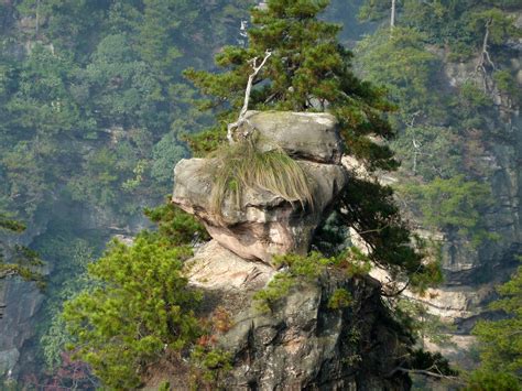 Beautiful Tianzi Mountains, China: Looks Just Like the Movie Avatar ...