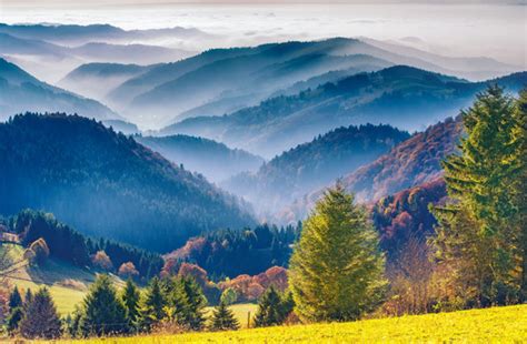 "Floresta Negra" Imagens – Procure 96,158 fotos, vetores e vídeos | Adobe Stock