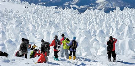 YAMAGATA The Tohoku region’s land of ice monsters and heavy snowfall | G'Day Japan!