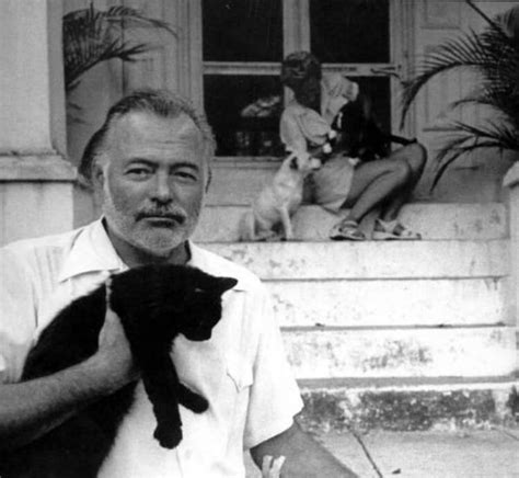 Hemingway Katzen - Schreibmaschine - Picture of The Ernest Hemingway Home and ... / Stören tut ...