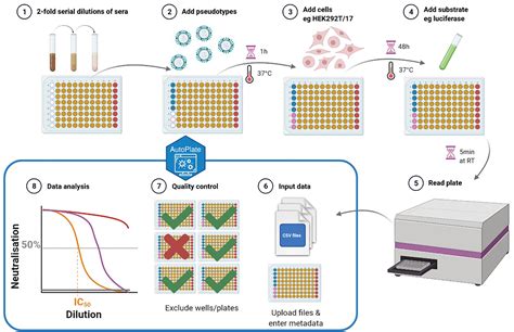 Frontiers | AutoPlate: Rapid Dose-Response Curve Analysis for Biological Assays