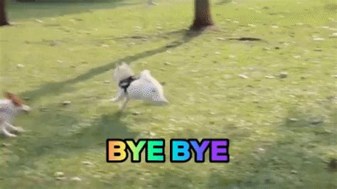 Bye Bye Corgi GIF by WoofWaggers - Find & Share on GIPHY