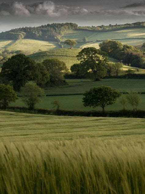 Beautiful rolling hills, trees & pastures in varying shades of green! #landscapephotography ...