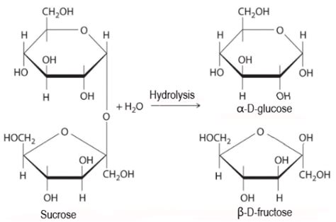 sucrose is made up of : | Chemistry Questions