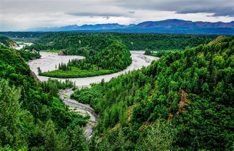 usa, Park, Scenery, River, Forest, Denali, Alaska, Nature Wallpapers HD ...