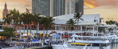 The 8 Best Miami Boat Tours