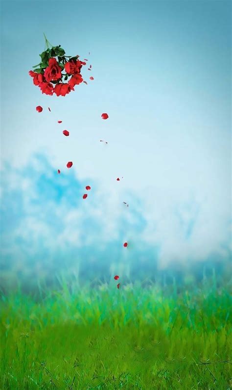 red flowers are floating in the air above green grass and blue sky with ...