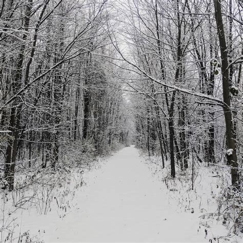 Winter started early in Michigan : winterporn