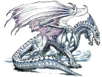 White dragon | Forgotten Realms Wiki | FANDOM powered by Wikia