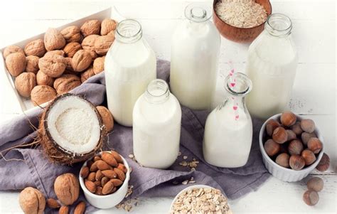 A Guide to Dairy-Free Alternatives | Elevate Nutrition