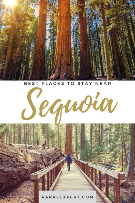 Sequoia National Park Lodging: Best Places to Stay in 2024