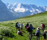 Murren Switzerland Hiking | Murren Hiking Trails