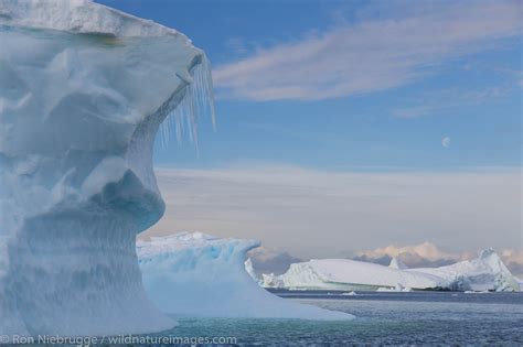 Petermann Island | Antarctica | Photos by Ron Niebrugge