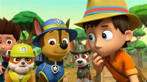 Paw Patrol: Pup Tales | S1:E10 | Pups Save the Kitty Rescue Crew