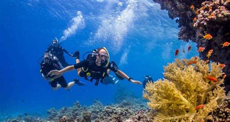 The Top Four Scuba Diving Spots in Egypt’s Red Sea | Osiris Tours