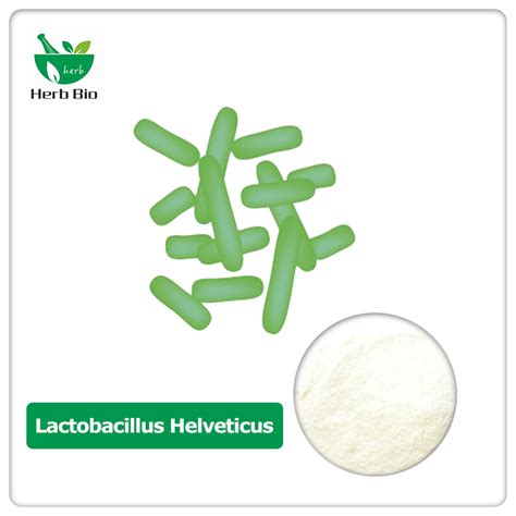 The best Chinese Lactobacillus Helveticus Supplier —— Xi'an Herb Bio