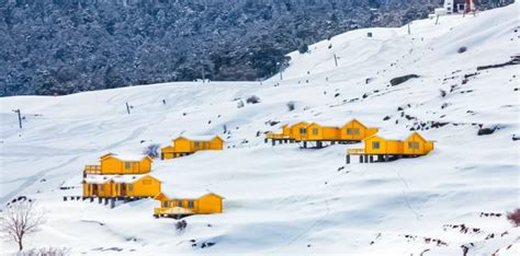 Auli Weather, Temperature & Best time to Visit - India Thrills