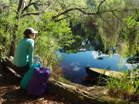 Upper Noosa River camping area 13 | Cooloola Recreation Area, Great ...