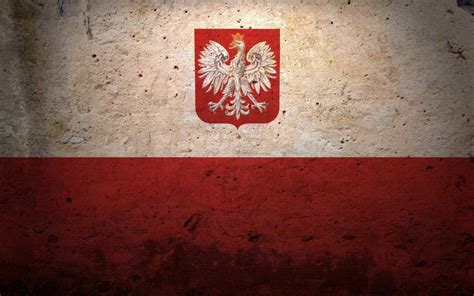 Download Poland National Football Team Logo 4K Wallpaper - GetWalls.io