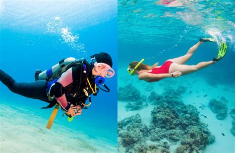 Snorkeling vs Scuba Diving: What's the Difference? - SMACODIVE