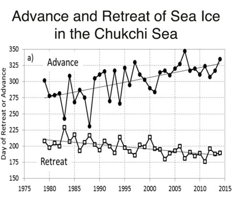 Chukchi Polar Bears Thriving Despite Sea Ice Loss